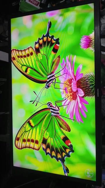 Bán tivi samsung 32 inch xem YouTube nhanh. Mua bán Tivi, Âm thanh tại Thành phố Mỹ Tho Tiền Giang được đăng bởi Tâm hình 1