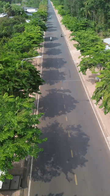 Mua bán Đất Thành phố Long Khánh Đồng Nai diện tích 3266.8 m² giá 10 tỷ