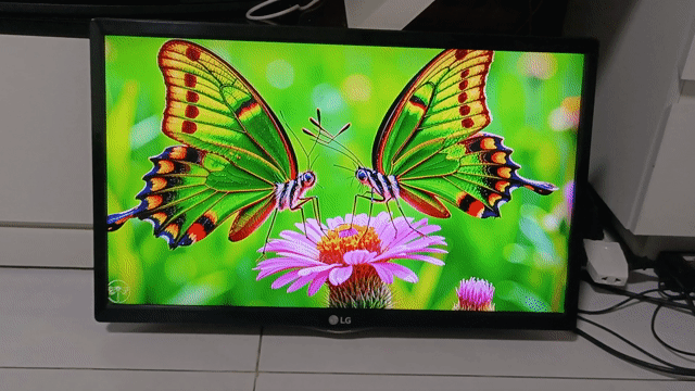 Tivi led LG 24 inch màu sắc sáng đẹp.. Mua bán Tivi, Âm thanh tại Quận Tân Phú Tp Hồ Chí Minh được đăng bởi Hiep phan hình 1