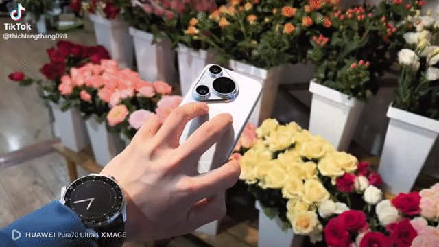 Huawei Pura 70 Pro Plus 512GB Đen. Mua bán Điện thoại tại Quận 8 Tp Hồ Chí Minh được đăng bởi Vu Hoang hình 1