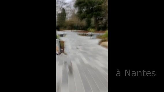 L'IUT informatique, une formation unique