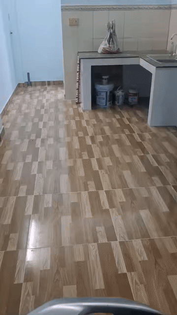 Cho thuê Nhà ở Quận Gò Vấp Tp Hồ Chí Minh diện tích 21 m² giá 4,5 triệu/tháng