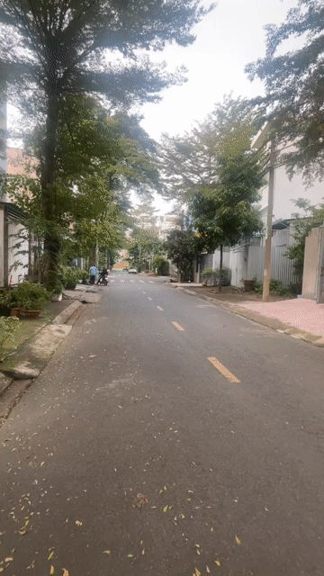 Mua bán Đất Huyện Bình Chánh Tp Hồ Chí Minh diện tích 85 m² giá 1,35 tỷ