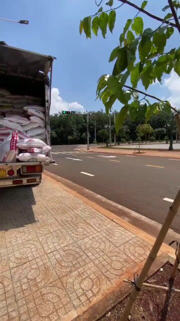 dịch vụ bốc xếp vận chuyển nhà trọn gói tphcm. Dịch vụ chuyển nhà tại Thành phố Thủ Đức Tp Hồ Chí Minh được đăng bởi Ngô Đức chánh hình 1