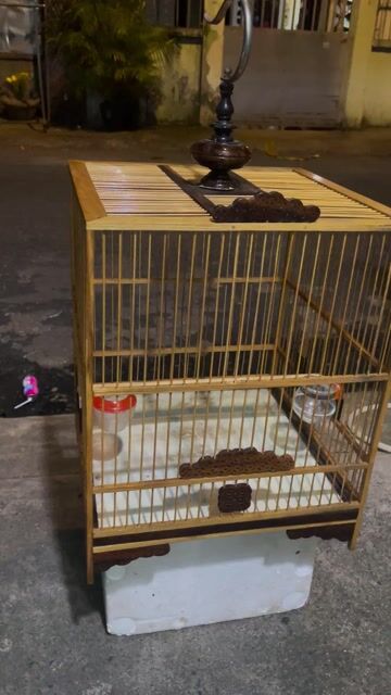 Lồng chim tre vuông chào mào đã dùng. Mua bán Phụ kiện, Thức ăn, Dịch vụ tại Quận Tân Phú Tp Hồ Chí Minh được đăng bởi bim bim hình 1