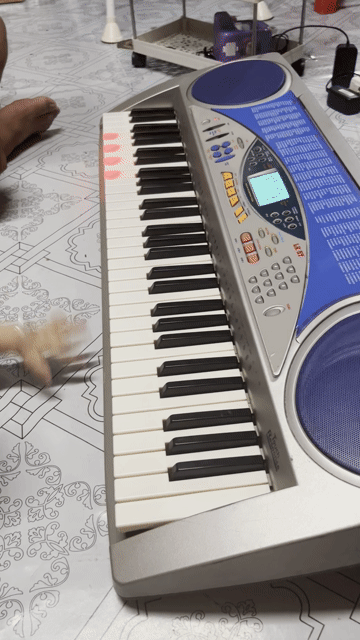Đàn organ Casio LK-57 xám. Mua bán Nhạc cụ tại Thành phố Long Xuyên An Giang được đăng bởi Huỳnh Ly hình 1