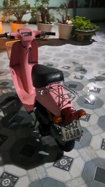 Xe máy màu Hồng còn mới 2 thì. Mua bán Xe máy tại Huyện Cần Giuộc Long An được đăng bởi đoàn lâm đông hình 1