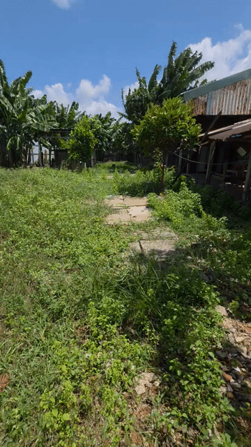 Mua bán Đất Huyện Hóc Môn Tp Hồ Chí Minh diện tích 600 m² giá 6,3 tỷ