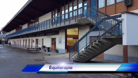 Equitherapeute, soigner par le cheval