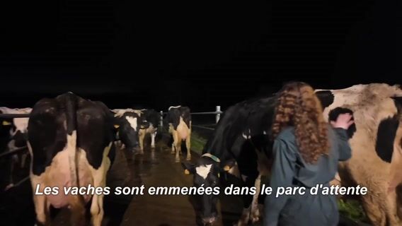 Bienvenue aux Rives d'Or