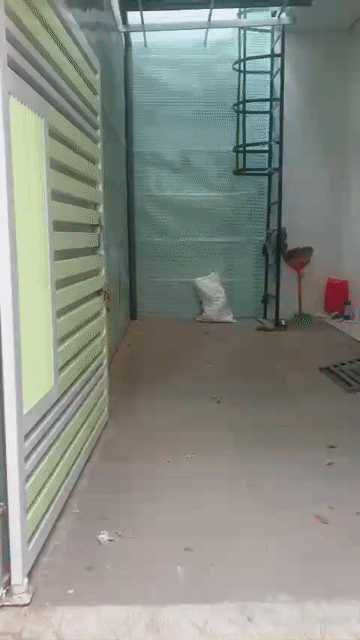 Cho thuê Phòng trọ Quận Bình Thạnh Tp Hồ Chí Minh diện tích 20 m² giá 3,8 triệu/tháng