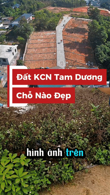 Mua bán Đất Huyện Tam Dương Vĩnh Phúc diện tích 90 m² giá 740 triệu