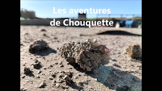 Les aventures de Chouquette