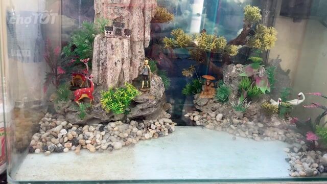Bể cá kính 50x33x33cm. Mua bán Phụ kiện, Thức ăn, Dịch vụ tại Quận Cẩm Lệ Đà Nẵng được đăng bởi Tran thanh hình 1