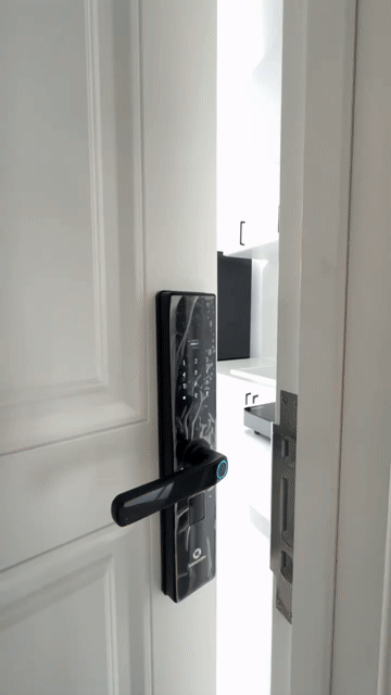 Cho thuê Căn hộ Chung cư Quận Gò Vấp Tp Hồ Chí Minh diện tích 35 m² giá 6,5 triệu/tháng