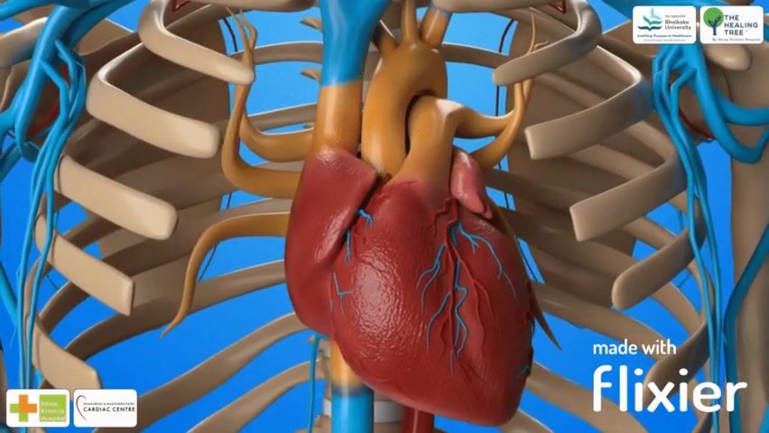 Research & Scientific Organizations