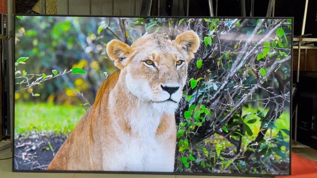 Tivi Samsung 75 inch 4K Đã qua sử dụng. Mua bán Tivi, Âm thanh tại Quận Liên Chiểu Đà Nẵng được đăng bởi Nhật Tảo Center Đà Nẵng hình 1
