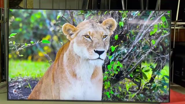 Tivi Samsung 75 inch 4K Đã qua sử dụng. Mua bán Tivi, Âm thanh tại Quận Liên Chiểu Đà Nẵng được đăng bởi Nhật Tảo Center Đà Nẵng hình 1