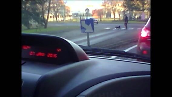 Un métier qui a du chien