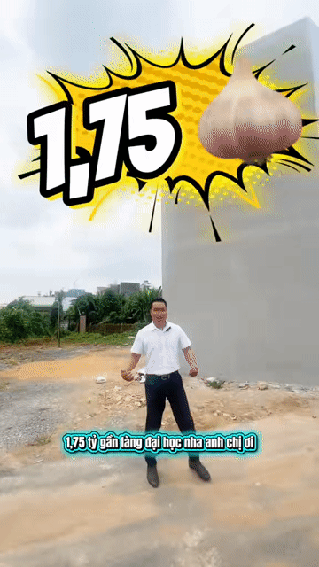 Mua bán Đất Thành phố Biên Hòa Đồng Nai diện tích 80 m² giá 1,75 tỷ