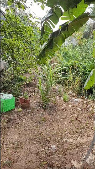 Mua bán Đất Huyện An Phú An Giang diện tích 500 m² giá 2 tỷ