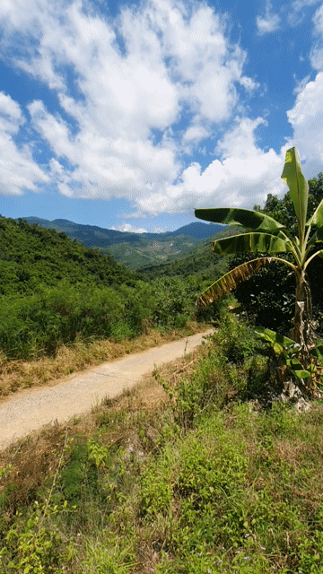 Mua bán Đất Thành phố Nha Trang Khánh Hòa diện tích 1785.5999 m² giá 650 triệu