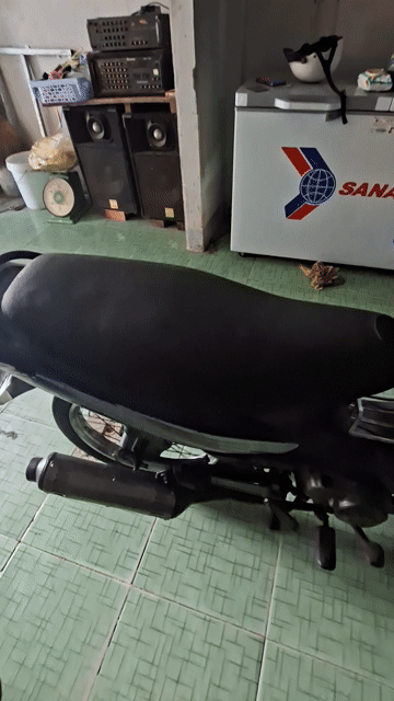 Suzuki Viva Xanh. Mua bán Xe máy tại Quận Ninh Kiều Cần Thơ được đăng bởi Duy Đông hình 1