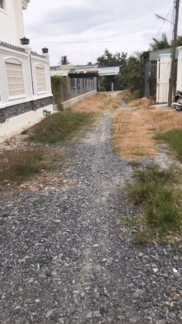 Mua bán Đất Huyện Hòa Thành Tây Ninh diện tích 552.7 m² giá 1,8 tỷ