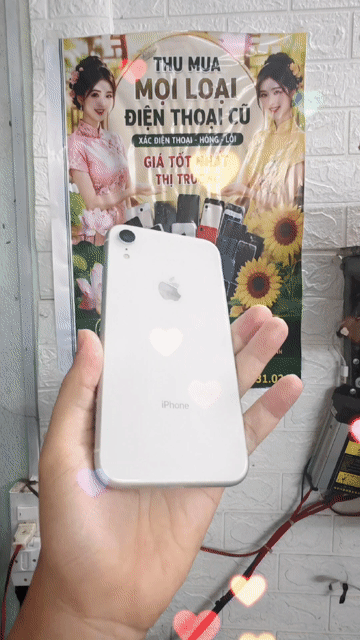 Apple iPhone XR 64GB Trắng. Mua bán Điện thoại tại Thành phố Huế Thừa Thiên Huế được đăng bởi T PLUS MOBILE MUA BÁN ĐIỆN THOẠI hình 1