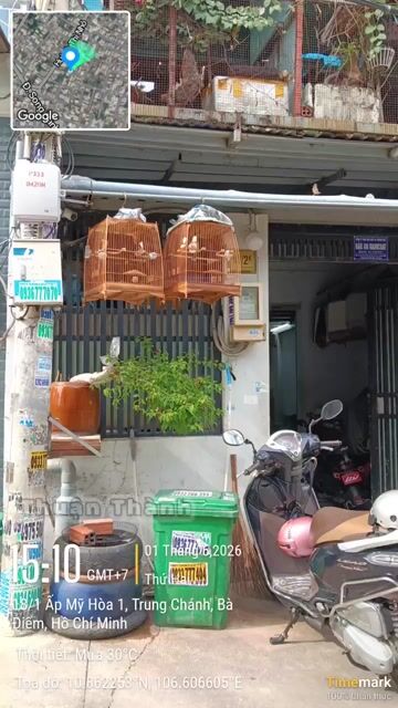 Chim cảnh giống to dài đòn mới song lông. Mua bán Chim tại Huyện Hóc Môn Tp Hồ Chí Minh được đăng bởi thành hình 1