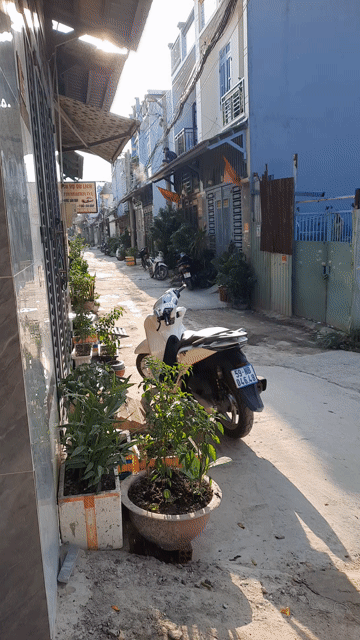 Mua bán Nhà ở Huyện Bình Chánh Tp Hồ Chí Minh diện tích 48 m² giá 1,6 tỷ