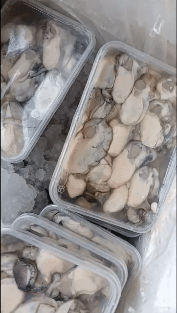 Ruột Hàu sữa Vân Đồn 1 kg tươi sống. Mua bán Đồ ăn, thực phẩm và các loại khác tại Quận Hoàng Mai Hà Nội được đăng bởi  Bep Me Bao hình 1