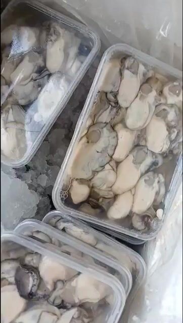 Ruột Hàu sữa Vân Đồn 1 kg tươi sống. Mua bán Đồ ăn, thực phẩm và các loại khác tại Quận Hoàng Mai Hà Nội được đăng bởi  Bep Me Bao hình 1
