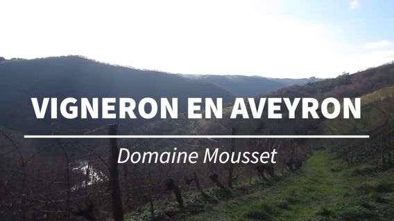 Le métier de vigneron