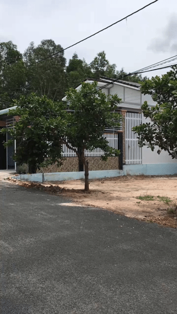 Mua bán Nhà ở Huyện Xuyên Mộc Bà Rịa - Vũng Tàu diện tích 300 m² giá 2,7 tỷ