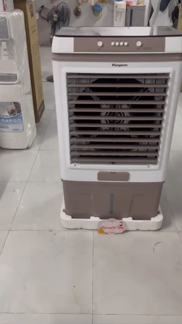 Quạt hơi nước Kangaroo KG50F99 165W 60L  30-50mv. Mua bán Quạt tại Huyện Bình Chánh Tp Hồ Chí Minh được đăng bởi Điện Máy Cát Tường hình 1