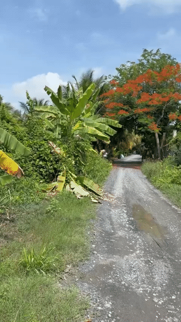 Mua bán Đất Huyện Bình Chánh Tp Hồ Chí Minh diện tích 10300 m² giá 33 tỷ