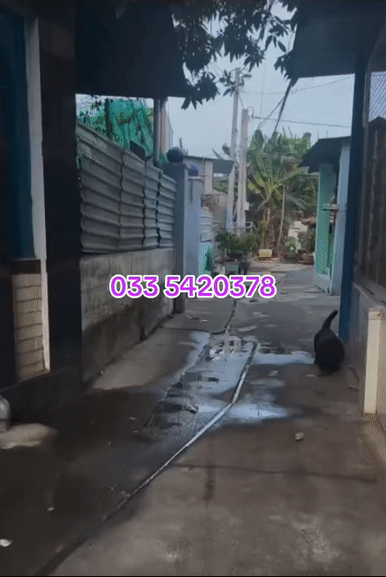 Cho thuê Nhà ở Thành phố Biên Hòa Đồng Nai diện tích 140 m² giá 10 triệu/tháng