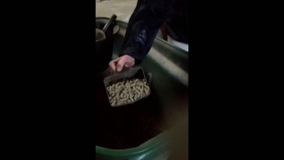 La femme qui murmurait à l'oreille des chevaux