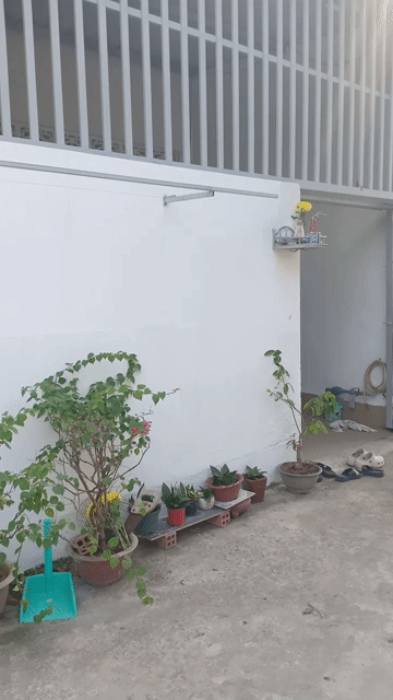 Mua bán Nhà ở Huyện Bình Chánh Tp Hồ Chí Minh diện tích 65 m² giá 1,2 tỷ