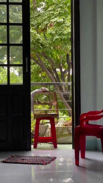 Chim Chào Mào bổi 6 ngày lồng CHÉ. Mua bán Chim tại Quận Sơn Trà Đà Nẵng được đăng bởi kkk hình 1