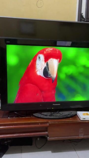 tiv 32in kèm đầu box khiển giọng nói. Mua bán Tivi, Âm thanh tại Thành phố Bắc Ninh Bắc Ninh được đăng bởi Vũ Lộc hình 1