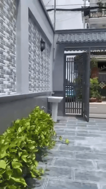 Cho thuê Nhà ở Quận 12 Tp Hồ Chí Minh diện tích 240 m² giá 22 triệu/tháng