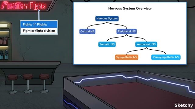 Sympathetic Nervous System Free Sketchy Medical Lesson