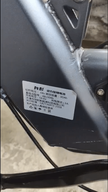 Xe đạp điện trợ lực Phoenix 48V 30ah Xám. Mua bán Xe đạp tại Huyện Hóc Môn Tp Hồ Chí Minh được đăng bởi Trần Đức Linh hình 1