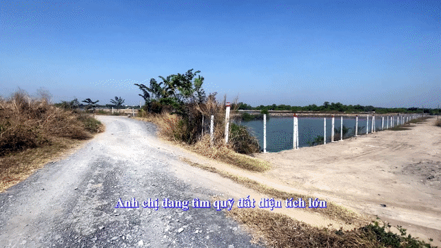 Mua bán Đất Huyện Cần Giờ Tp Hồ Chí Minh diện tích 1500 m² giá 1,99 tỷ