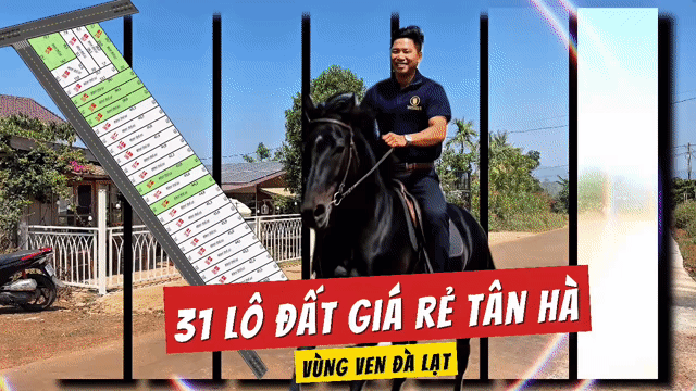 Mua bán Đất Huyện Lâm Hà Lâm Đồng diện tích 300 m² giá 730 triệu