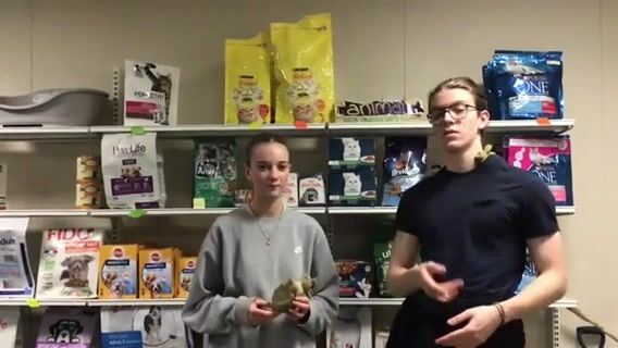 Technicien conseil vente en animalerie