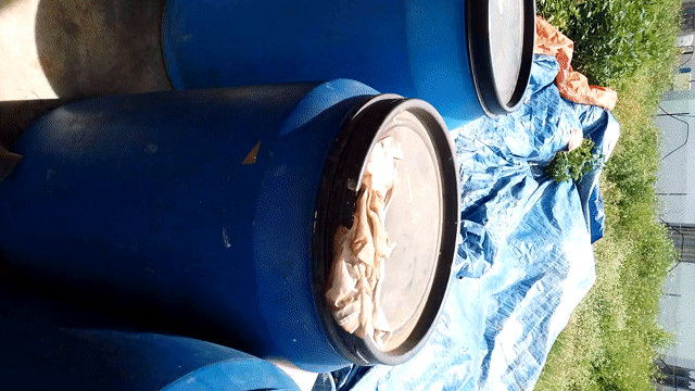 Máy thủy phân Inox. Mua bán Đồ chuyên dụng, Giống nuôi trồng tại Huyện Krông Bông Đắk Lắk được đăng bởi nguyễn xuân hình 1