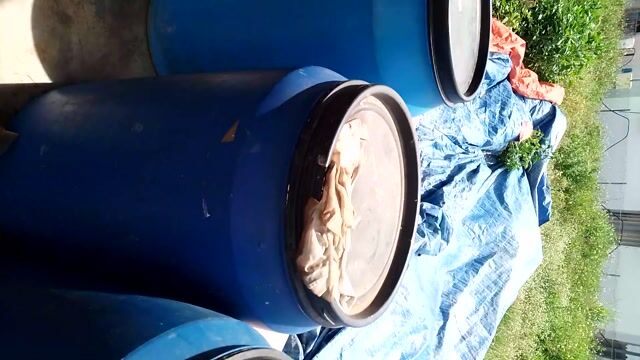 Máy thủy phân Inox. Mua bán Đồ chuyên dụng, Giống nuôi trồng tại Huyện Krông Bông Đắk Lắk được đăng bởi nguyễn xuân hình 1
